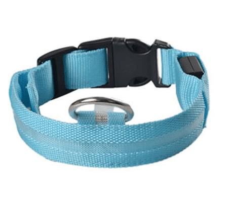 Hundehalsband mit LED-Licht | Karnz
