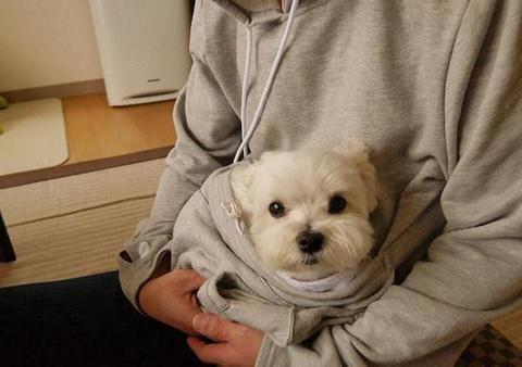 Der Doggie Kangaroo Hoodie | Karnz