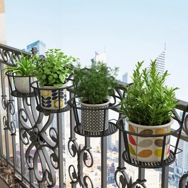 Karnz | Verwandle deinen Balkon - Hängende Pflanzen - Botanisches Escape