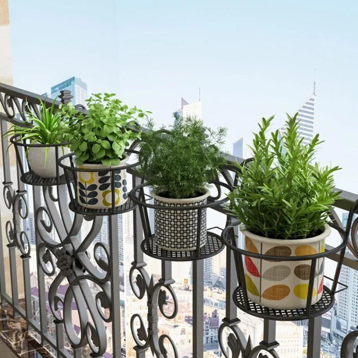 Karnz | Verwandle deinen Balkon - Hängende Pflanzen - Botanisches Escape