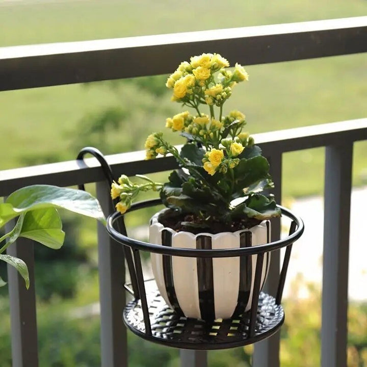 Karnz | Verwandle deinen Balkon - Hängende Pflanzen - Botanisches Escape