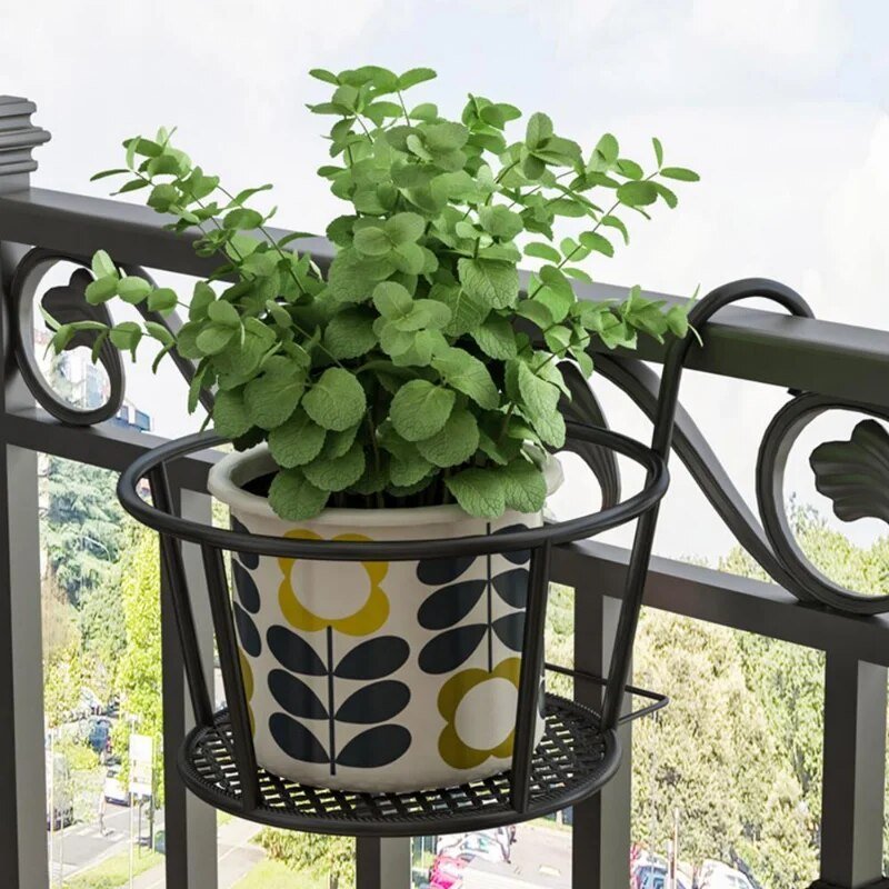 Karnz | Verwandle deinen Balkon - Hängende Pflanzen - Botanisches Escape