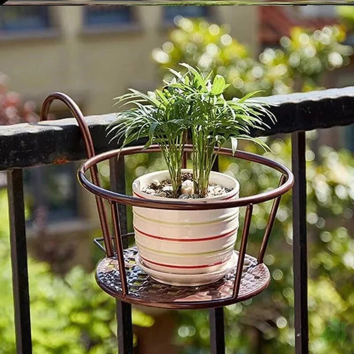 Karnz | Verwandle deinen Balkon - Hängende Pflanzen - Botanisches Escape