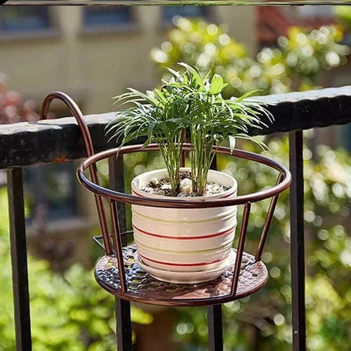 Karnz | Verwandle deinen Balkon - Hängende Pflanzen - Botanisches Escape