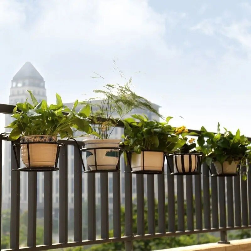 Karnz | Verwandle deinen Balkon - Hängende Pflanzen - Botanisches Escape