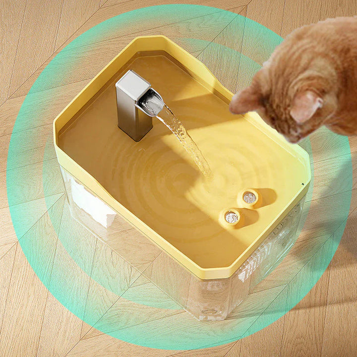 Automatischer Wasserspender für Haustiere | Karnz