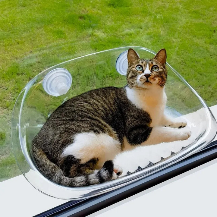 Katensichere-Hängematte | Der ultimative Komfort für Ihre Katze | Karnz