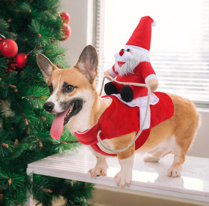 Hund Weihnachtsmann Kostüm | Karnz