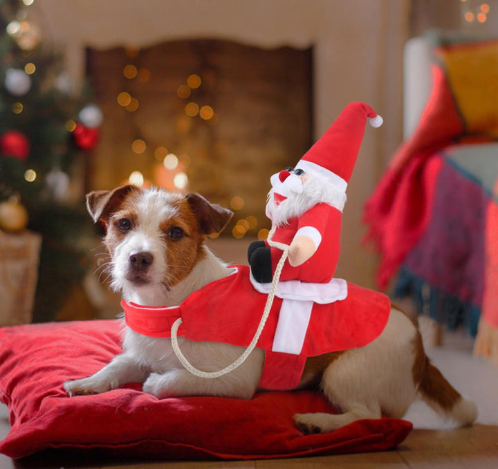 Hund Weihnachtsmann Kostüm | Karnz