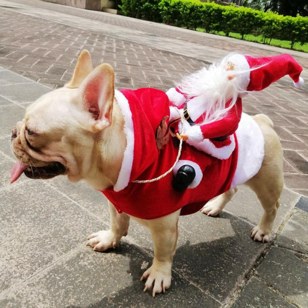 Hund Weihnachtsmann Kostüm | Karnz