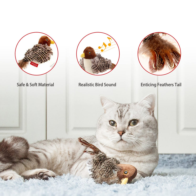 Flattering Katzenspielzeug | Hält Katzen glücklich und gesund! | Karnz