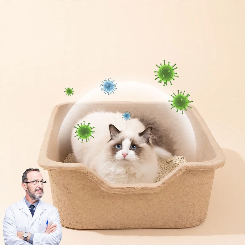 Einweg-Katzentoilette aus Pappe