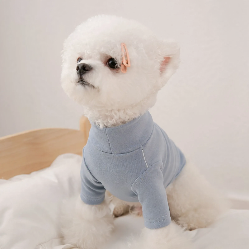 Hundeweste mit Schal für kleine Hunde