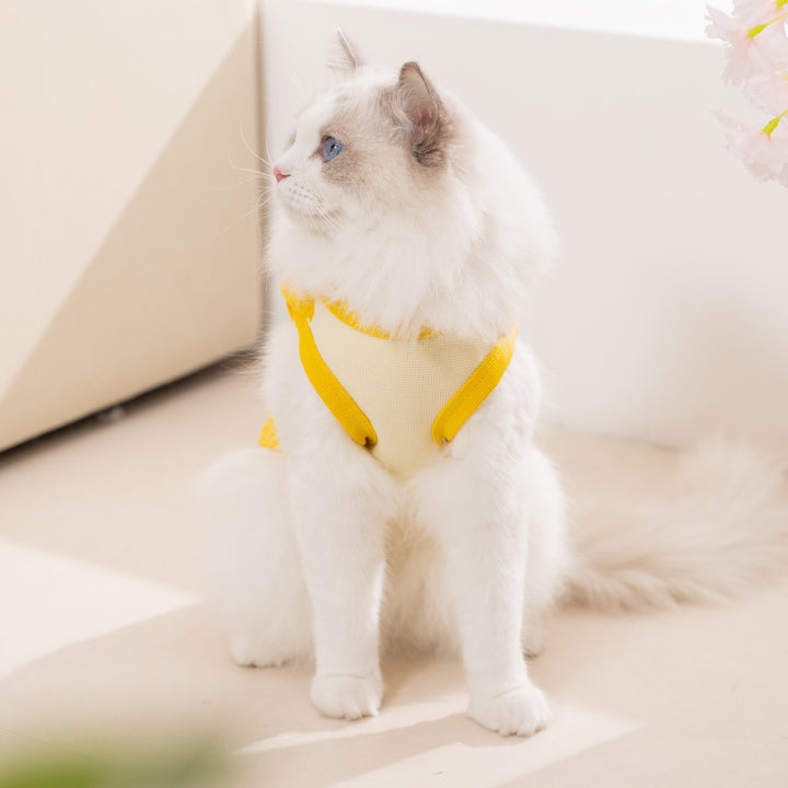 Ärmellose Weste für Katzen und Hunde, Frühjahr/Sommer