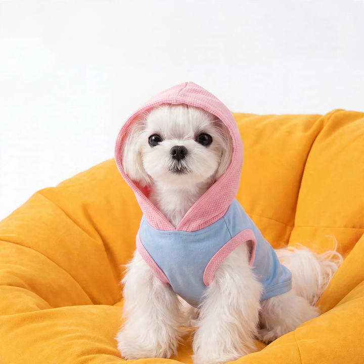 Ärmellose Kapuzen-Weste für kleine Hunde