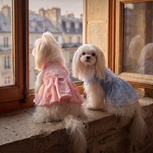 Prinzessin-Kleid für kleine Hunde, Sommer
