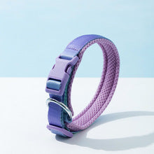 Nylon-Halsband für mittlere und große Hunde