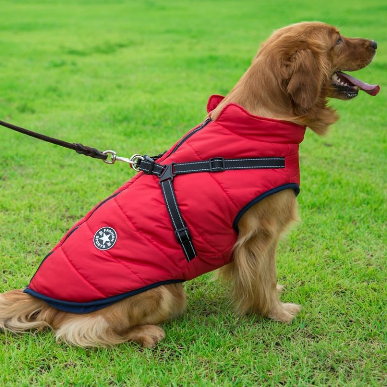 Winter Hundejacke mit Geschirr | Karnz