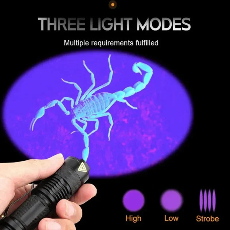 LED-UV-Taschenlampe – Ultraviolette Inspektionslampe zur Erkennung von Haustierurin und -flecken
