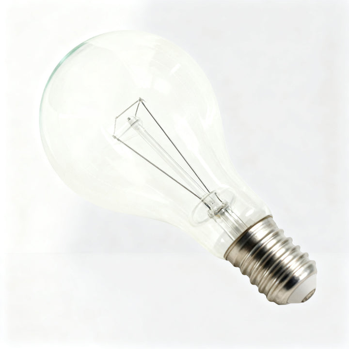 Glühlampe E40 Schraubsockel 110V/220V