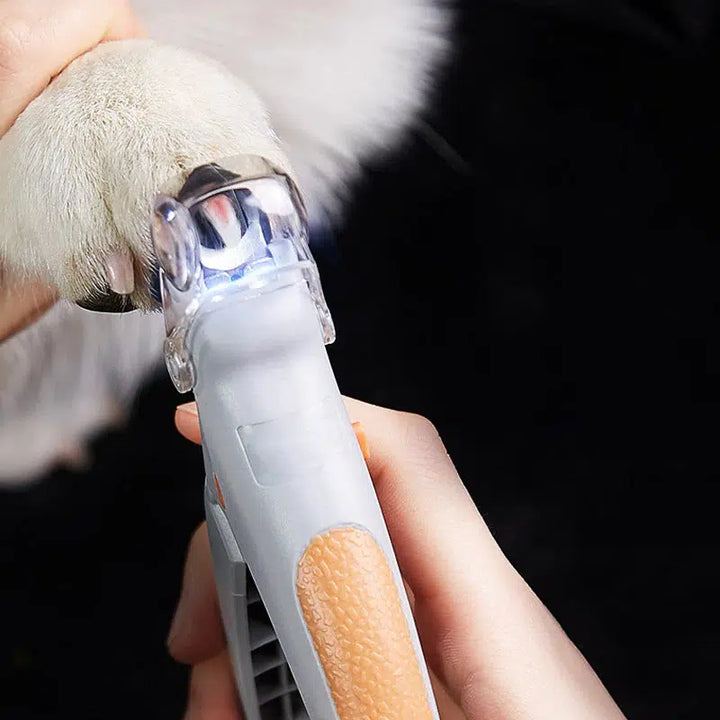 Karnz | MAX - Die besten Nagelknipser für Hunde mit schnellen Sensoren