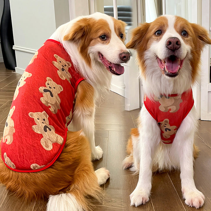 Sommer-Rückentop für Hunde und Katzen