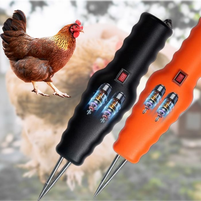 Electric Chicken Eater | Karnz