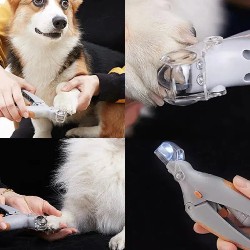Karnz | MAX - Die besten Nagelknipser für Hunde mit schnellen Sensoren