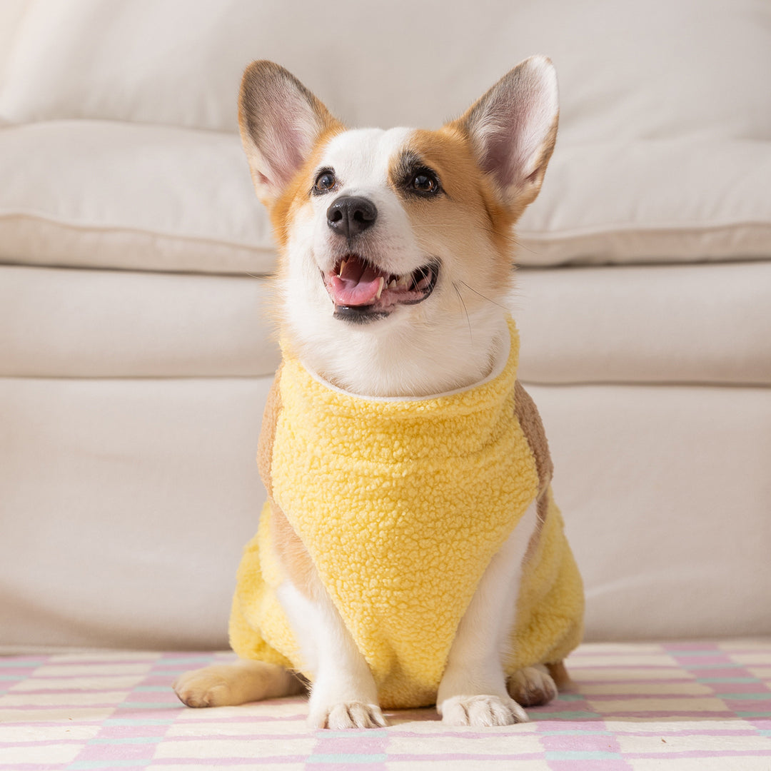 Hundepullover Fleece, Kontrastfarben, zweiarmig