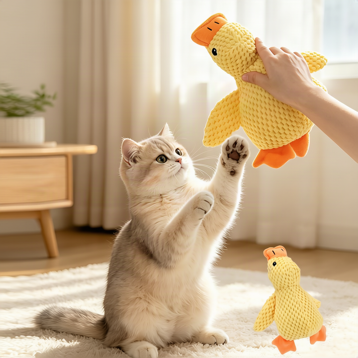 Katzenspielzeug mit Minze und Raschelpapier