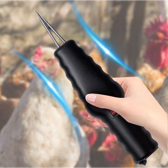 Electric Chicken Eater | Karnz