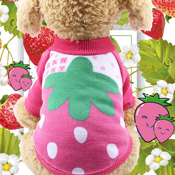 Fleece-Pullover für Hunde – Herbst und Winter