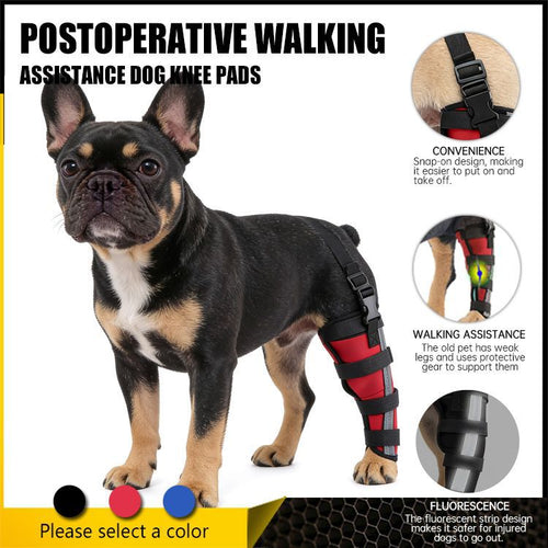 Hinterbein-Stützmanschette für Hunde, ganzjährig