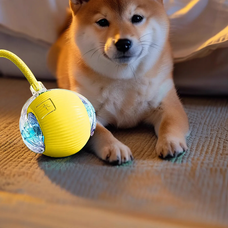 Interaktiver Springball für Katzen mit Aufladung