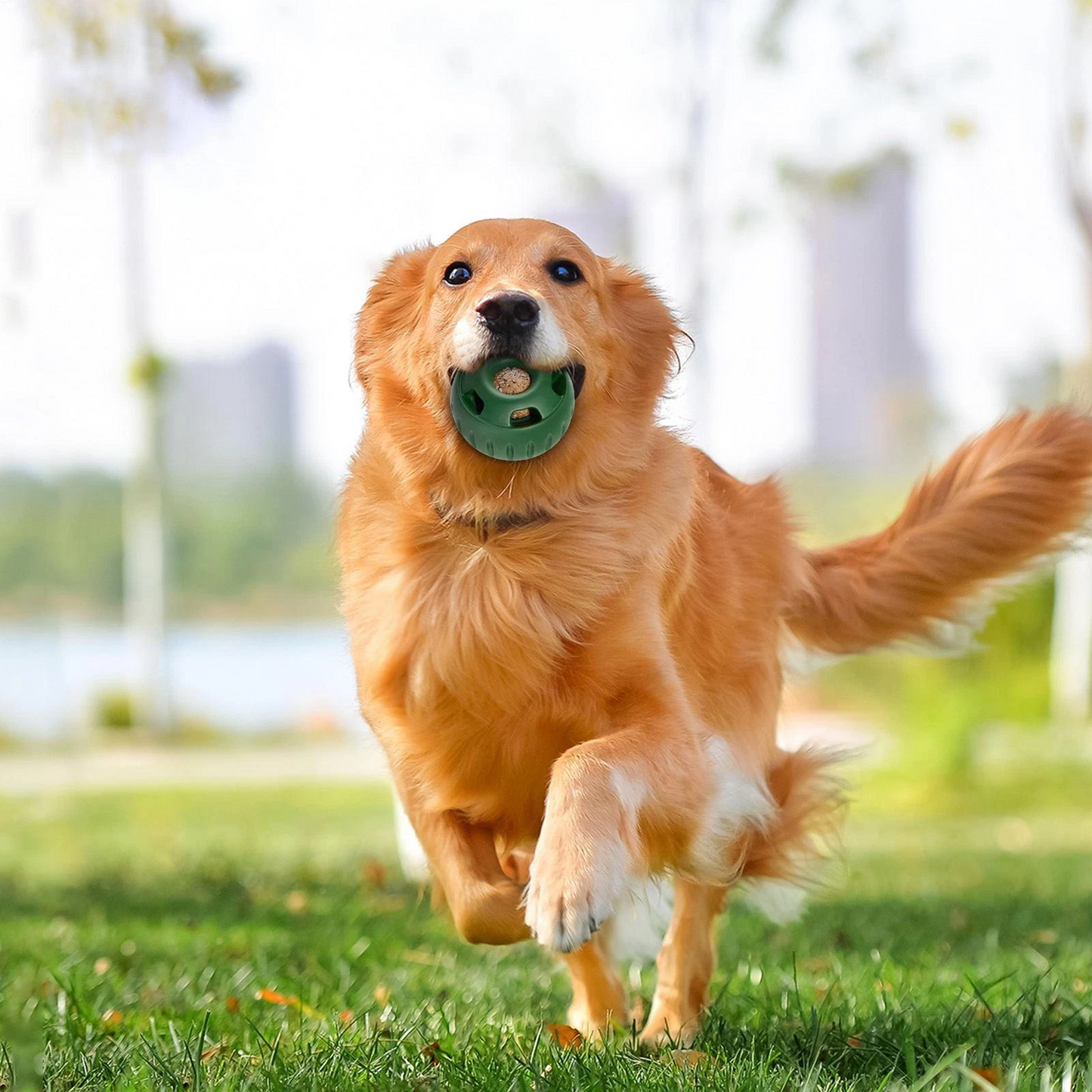Behandlungsleckball für Hunde | Langlebig, Wiederverwendbar, Sommerspaß | Karnz