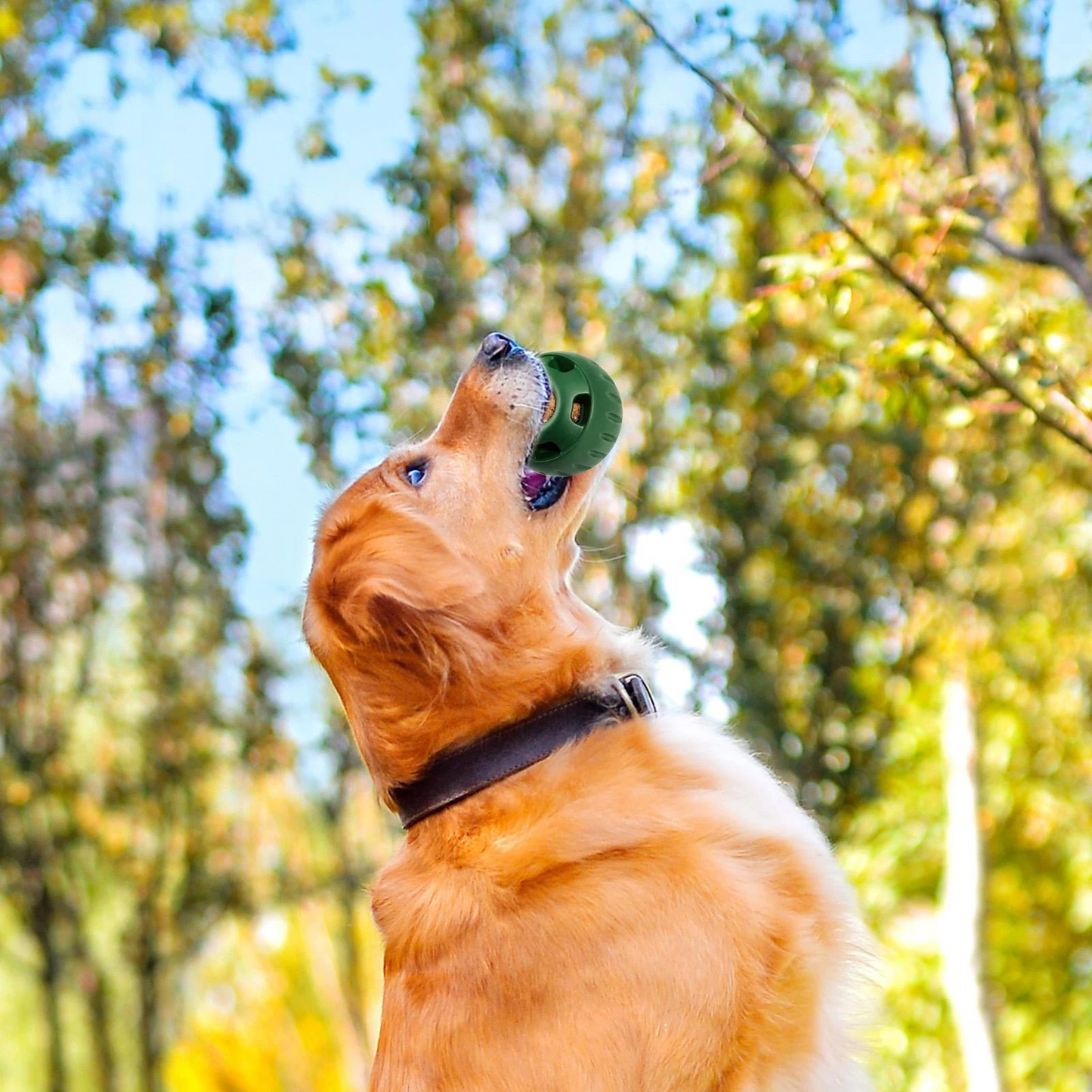 Behandlungsleckball für Hunde | Langlebig, Wiederverwendbar, Sommerspaß | Karnz
