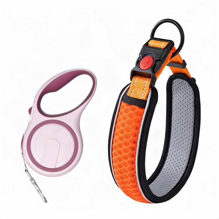 Hundehalsband aus Polypropylen
