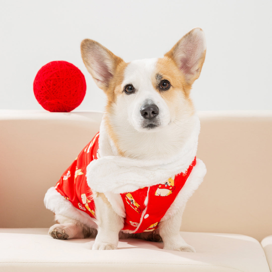 Chinesischer Wintermantel für mittlere Hunde mit Schal