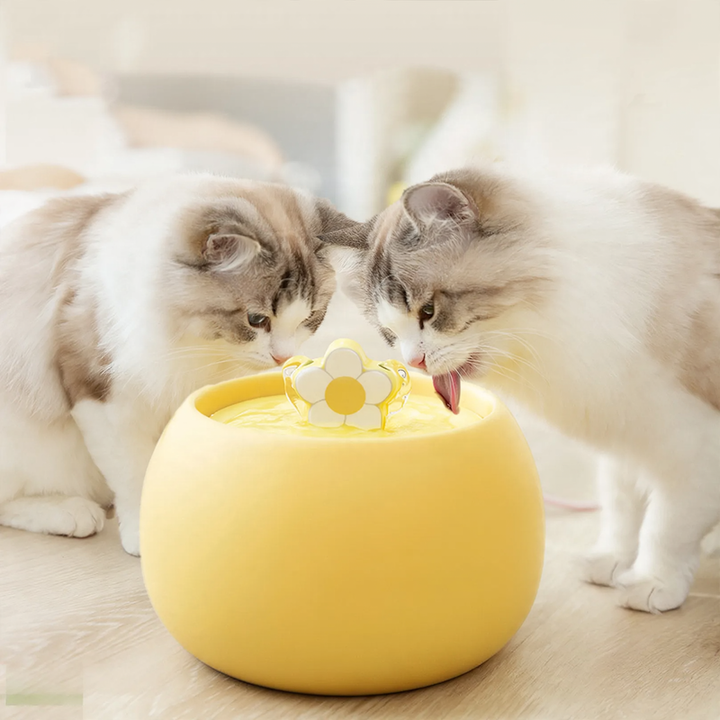 Automatischer Keramik-Trinknapf für Katzen und Hunde