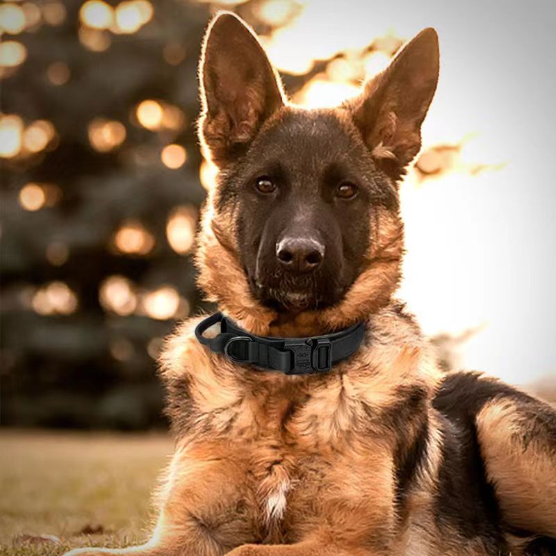 Taktisches Hundehalsband aus Nylon