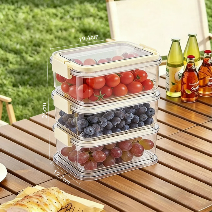 Frischhaltebox mit Kühlelement und Abtropfplatte