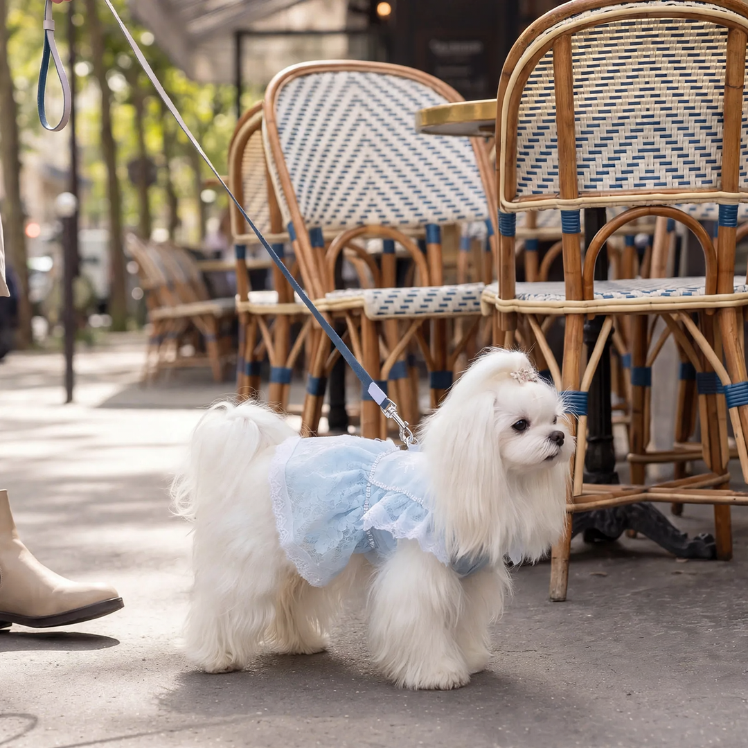 Prinzessin-Kleid für kleine Hunde, Sommer