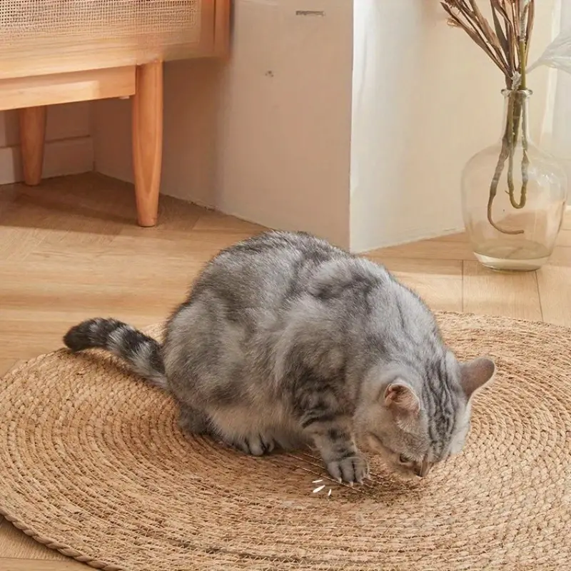Kratzmatte für Katzen | Karnz