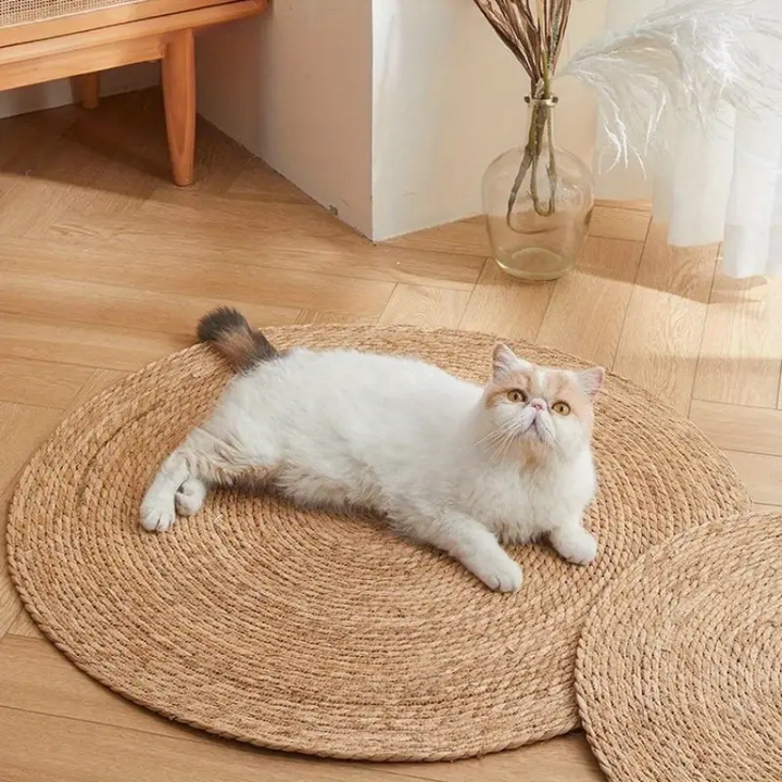 Kratzmatte für Katzen | Karnz