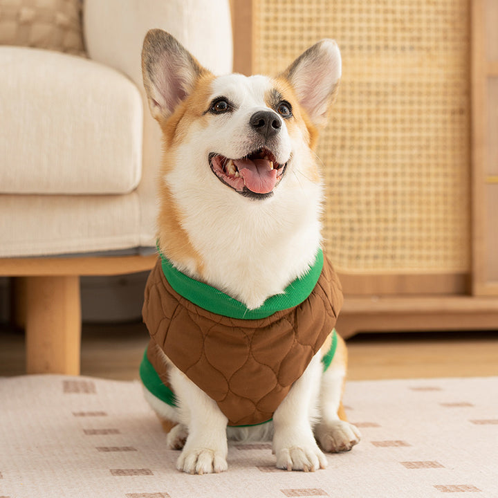 Hunde-Watteweste für Herbst und Winter