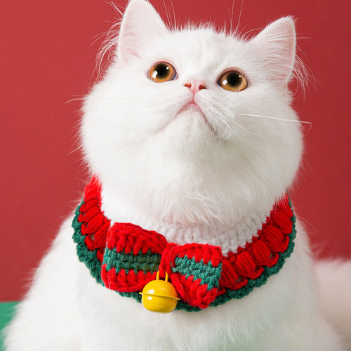 Handgestricktes Halsband für Katzen
