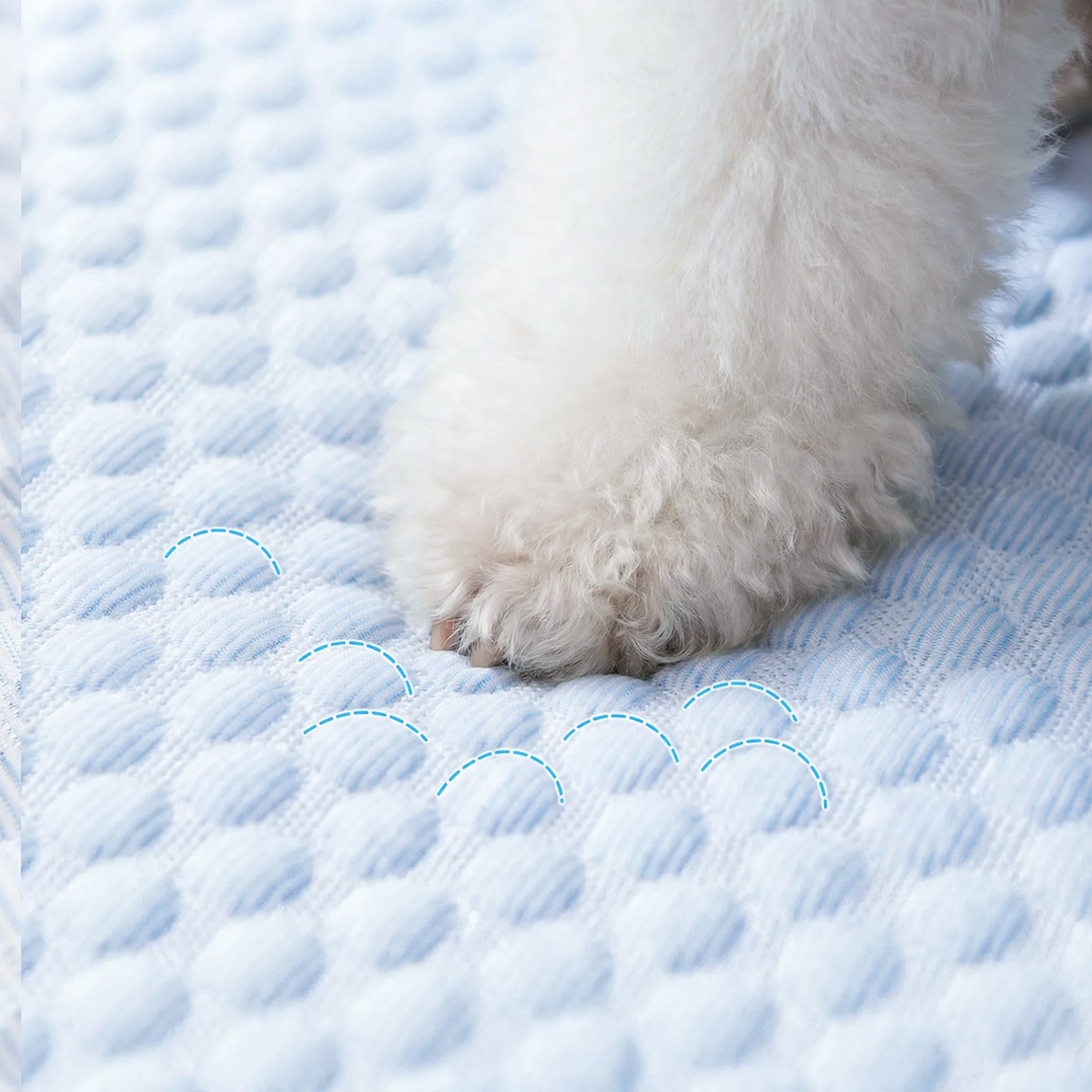 Kühlmatte für Hunde und Katzen, Fruchtdesign