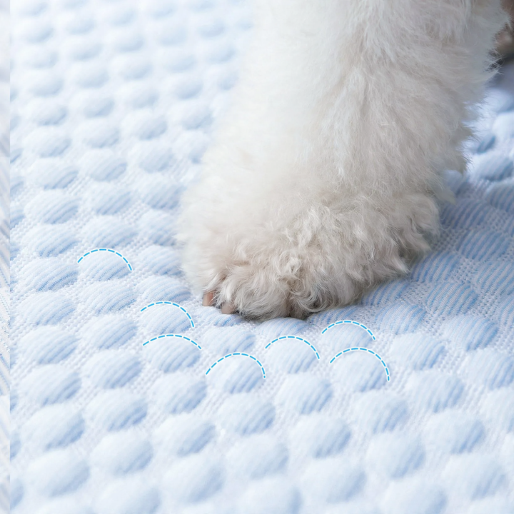 Kühlmatte für Hunde und Katzen, Fruchtdesign