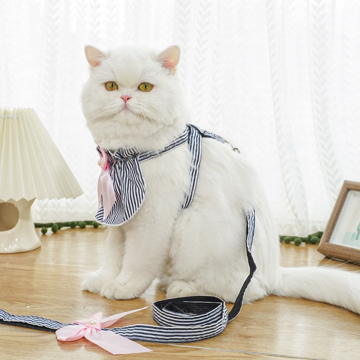 Hundegeschirr mit Leine, Polyester, blau gestreift