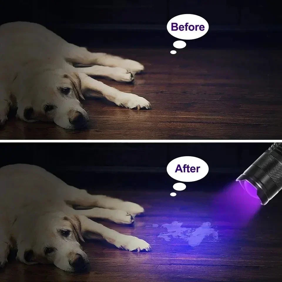 LED-UV-Taschenlampe – Ultraviolette Inspektionslampe zur Erkennung von Haustierurin und -flecken